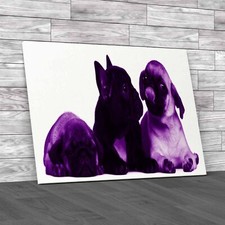 Adorable French Bulldog Pug Puppies 8 Weeks Old Purple Canvas Print Large