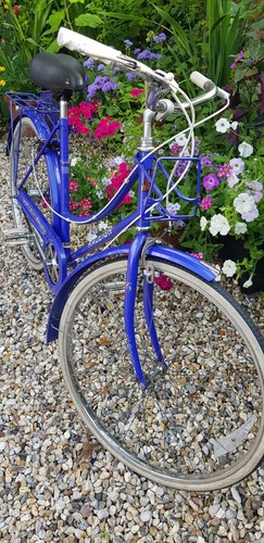 Raleigh caprice ladies - ladies, city