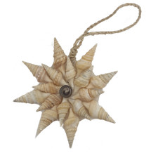 Sea Shell Hanging Ornament