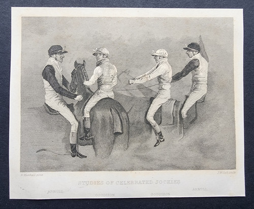 Antique 1842 print horse - antique,
