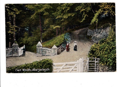 Aberystwyth cwm woods - aberystwyth,