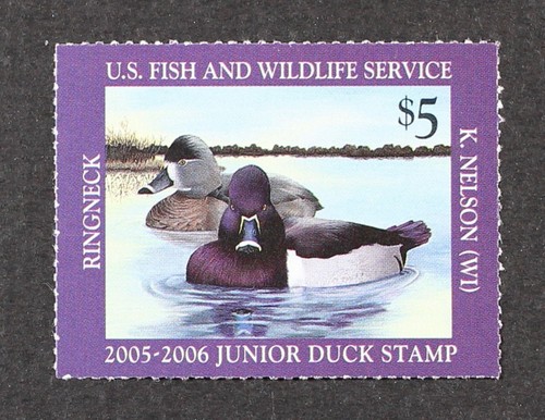 2005 jds13 5 junior - $5,