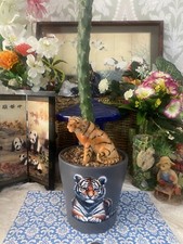 X Large Cactus Houseplant