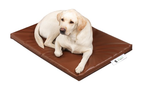 Maximum pet products - products, tough