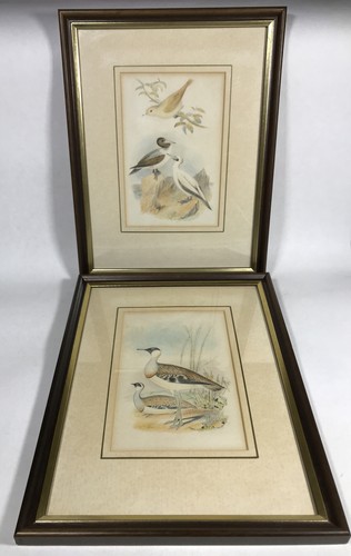 Antique hand painted - antique, bird