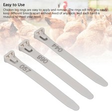 Chicken Leg Bands Weather