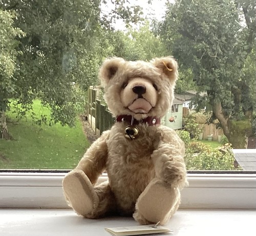 Steiff baby bear cm - bear, 26