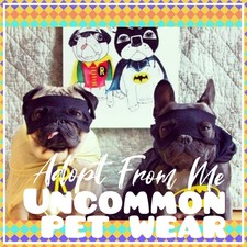 🌸Adopt (All Stuff) Today