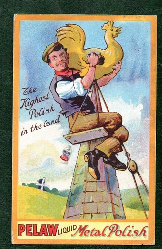 Chicken poultry original - poultry, 1910