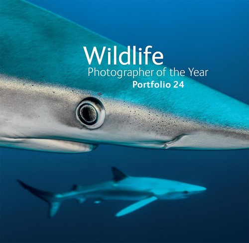Wildlife photographer the - wildlife,