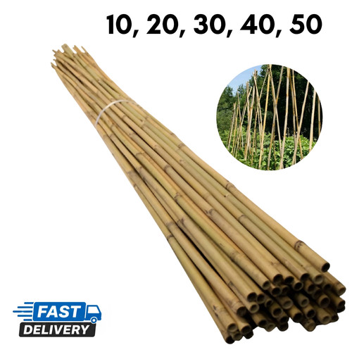 Bamboo garden canes strong - canes,