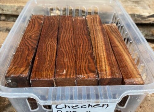 Chechen caribbean - 1,