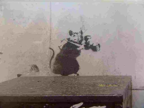 Banksy rat paparazzi - banksy,