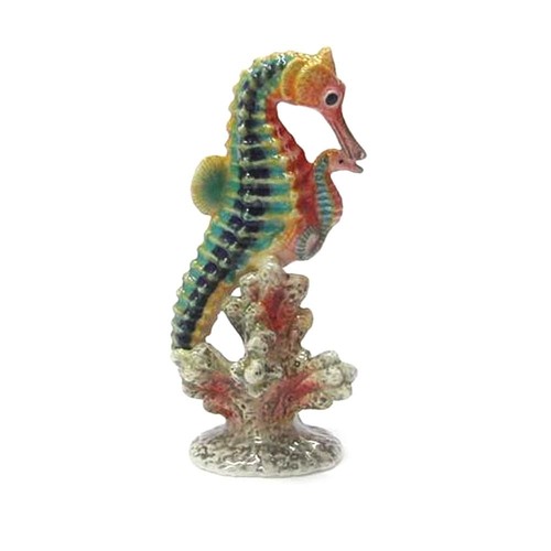 Northern rose multicolor - northern,
