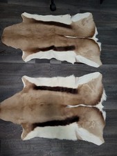 Deerskin Rug set of 2 - Approx  34" X 24"