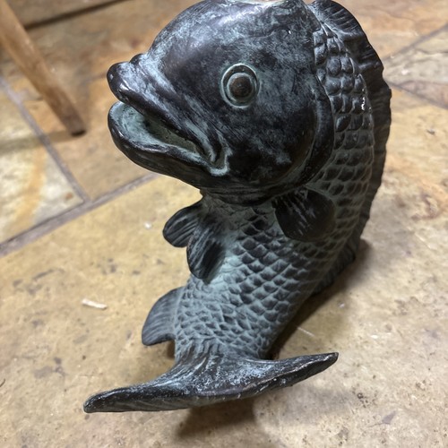 Bronze coloured koi carp - , fish