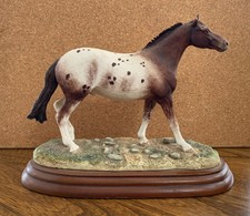 Border Fine Arts Appaloosa