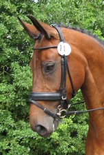 Full Size Black Passier Rolled Bridle with Matching Rolled Reins