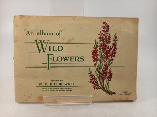 Album wild flower by - wild,
