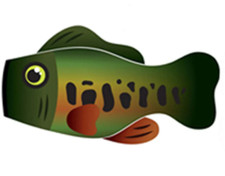 Bass fish windsock by Life's a