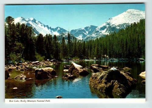 Postcard 4x6 bear lake - postcard, co