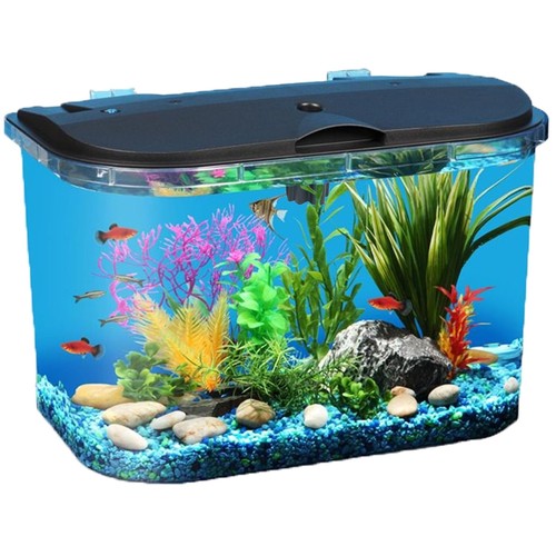 Tropical fish starter - starter, 5
