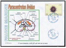 ALGERIA 2013 - FDC - Sea fauna - Marine - Oursin - urchin - pilluelo - Seeigel