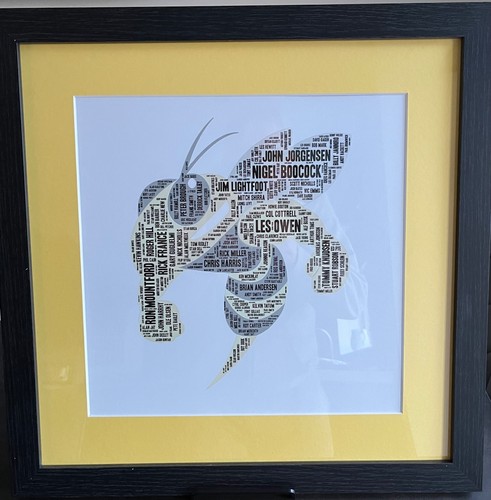Coventry bees speedway framed - speedway,