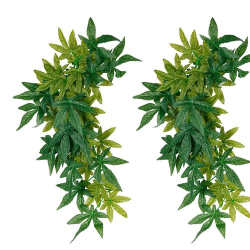Pack reptile silk plants - pack,