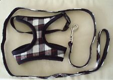 Plaid Black and White Dog