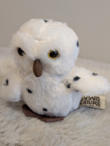 Living nature small snowy - nature, owl