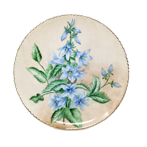Wedgwood hand painted cabinet - hand,