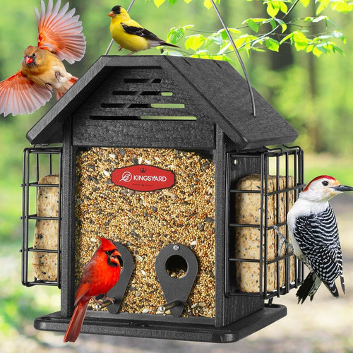 Bird feeder for - bird,