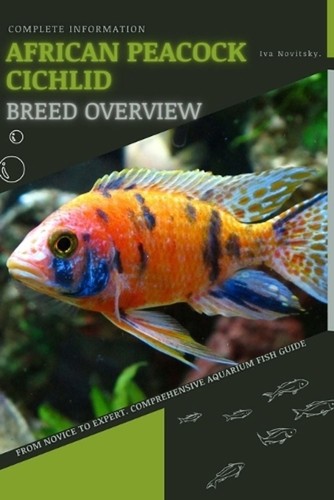 African peacock cichlid - african, from