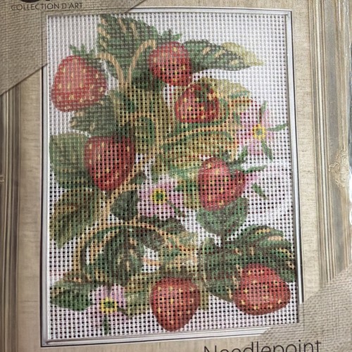 Printed needlepoint tapestry