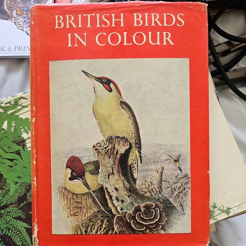 British birds colour - british,