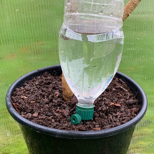 Watering spikes for plants - 8, x