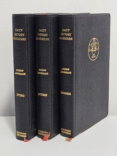 Daily breviary meditations - daily,
