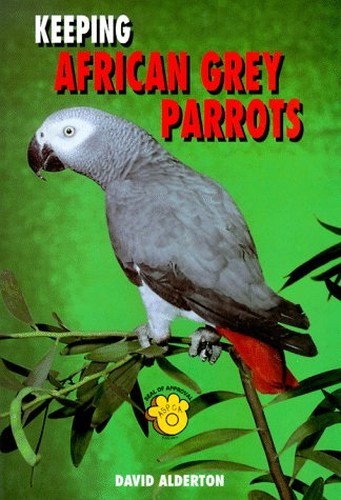 Keeping african grey parrots - grey,