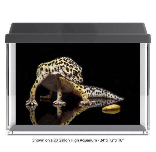 Leopard gecko lizard polyester - gecko,