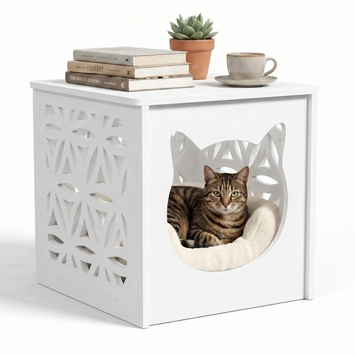 Tier accent table - accent, cat