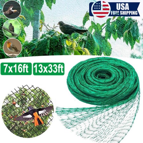 33ft anti bird - bird, pond