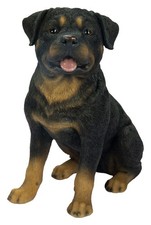 Vivid Arts Rottweiler Dog -