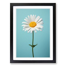 Daisy Minimalism Framed Canvas