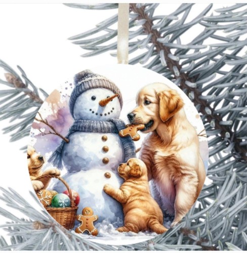 Golden retriever dog hanging - golden,