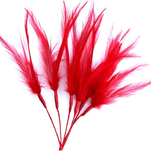 Narrow feathers rooster neck - -,