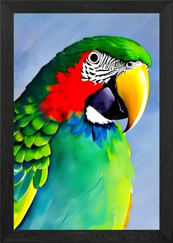 Colorful parrot framed wall - colorful,