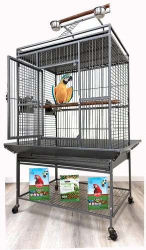 Large x23 x66 h - 32"x23"x66"h, parrot