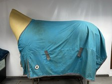 Used 7’0 Derby House 100g