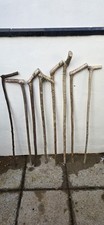 7 hazil shanks 1 blackthorn fot handle or knob stick 14mts untouched lengh 43in 